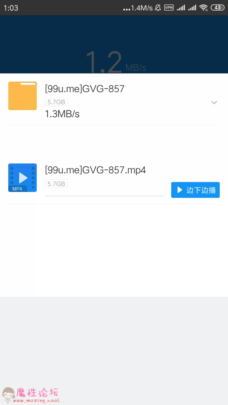 Screenshot_2019-04-29-01-03-38-225_com.xunlei.downloadprovider.png