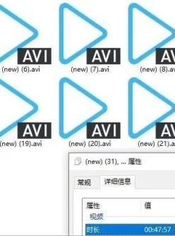 [转载搬运] 淫奴调教失控潮喷边肏边喷一字马虐阴 都是极品模特！ [31V+1G][磁力链接]